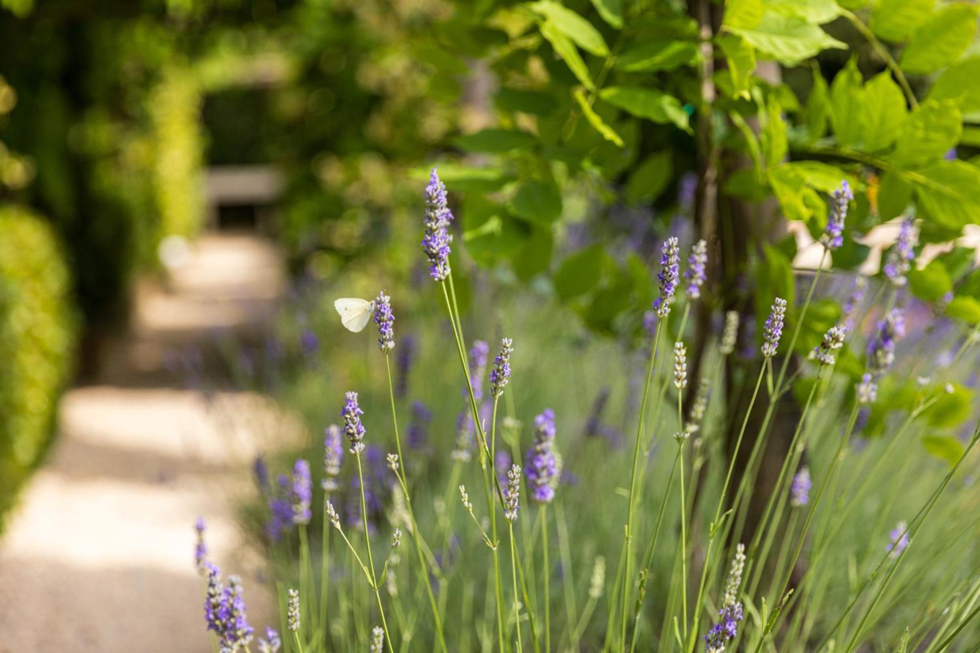 Hotel Palazzo Del Capitano Wellness & Relais - Luxury Borgo Capitano Collection 4*